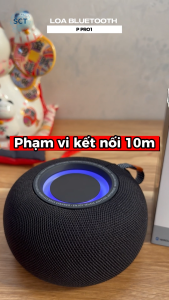 Loa Bluetooth Mini P PRO1 – Âm To Không Vỡ Pin Bền – Mang Đi Dễ Dàng Kết Nối Nhanh Gọn