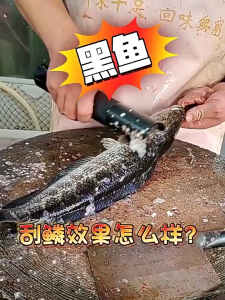2 in 1 Electric Fish Scaler & Coconut Scraper Cordless Waterproof Rechargeable Kitchen Tool