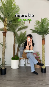 【Lifetime warranty】Artificial Plants big size 130/160/180CM Artificial coconut trees imported from Japan 5A level simulation No care required Suitable for indoor home wedding office decoration Artificial Palm
