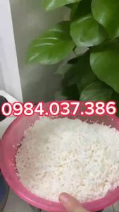 Nồi Nấu Xôi 5kg/mẻ Bằng Điện Gia Đình (Tặng kèm miếng lót hấp xôi)