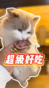 KAZIFU CAT DOG PURE MEAT WET FOOD NUTRITION MIXED FOOD 0 ADDED SNACKS CANNED(40G)卡滋芙猫狗营养纯肉湿粮拌粮营养0添加鸡肉零食罐头