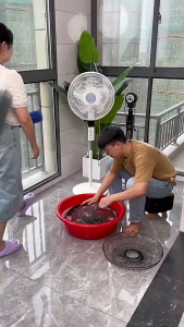 Chổi phủi bụi màn hình chổi vệ sinh quạt cọ rửa xe máy xe đạp đa năng hàng chổi phủi bụi chổi quét bụi chổi quét chổi  chổi vệ sin