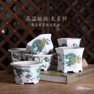 Free House Boutique Ceramic Small Flower Pot Glazed Basin High Temperature Stickers Qinglong Series a Variety of Succulents