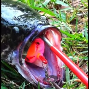 2 ชิ้น ชุดเหยื่อปลอม ชุด ที่ปลด ปลา, วัสดุสแตนเลส