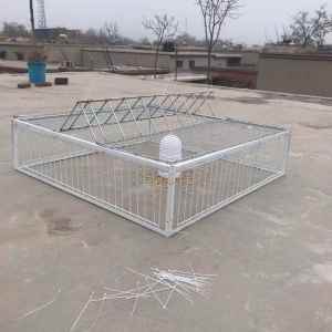 ZHIZHILIANYU | Large Automatic Catching Pigeon Trap