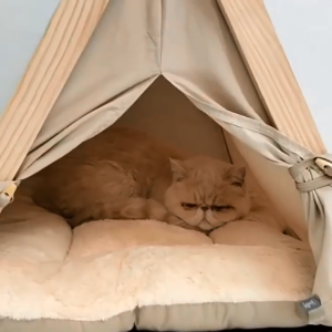 Pet Tent Breathable Cotton Cat Teepee Washable Wood Dog Bed Portable Puppy House Indoor Outdoor Nest Cozy