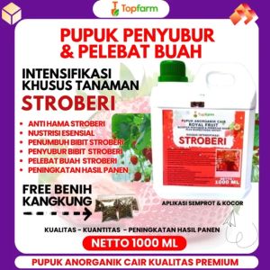 Pupuk Pelebat Buah Stroberi / Pupuk Booster Stroberi / Pupuk Stroberi Berbuah Lebat / Pupuk Stroberi / Pupuk Stroberi Biar Berbuah / Pupuk Penyubur Tanaman Stroberi
