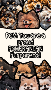 POMERANIAN DOG PEEKER STICKERS (WATEPROOF AND SCRATCH PROOF VINYL LAMINATED STICKER) FURPARENT FURBABY GIFT IDEA