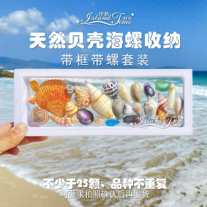 Natural Shell Seashell Sea Glass Birthday Photo Frame DIY Decoration Storage Ocean Gift Creative Home Decor Coral Reef Theme