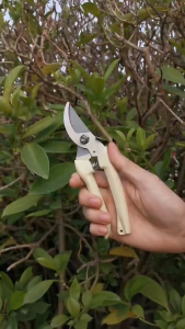 Kéo Cắt Tỉa Cành Cây Cộng Lực Cắt Cành Bonsai Kéo Cắt Cây Cảnh Tỉa Hoa Có Khóa Cài Bảo Vệ