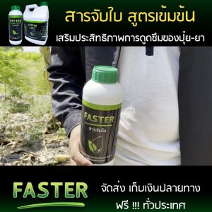 FASTER 1 Litter สารจับใบ สูตรเข้มข้น เสริมการดูดซึมและแพร่กระจาย