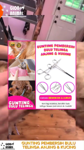 GUNTING PENCABUT PEMBERSIH BULU TELINGA ANJING Kucing Stainless Steel