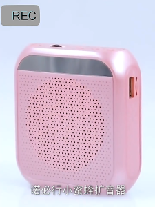 （FLASH SALE)Speaker Pinggang Guru Wireless Portable Penguat Suara Active Speaker Megaphone