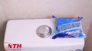 [HCM]COMBO 10 VIÊN TẤY BỒN CẦU