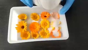 500g Reusable Fresh Flower Desiccant Non-Toxic Silica Gel Desiccant For Flower Drying