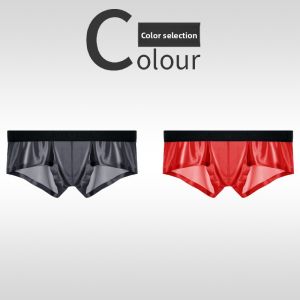 AEEEYEEE | Ice Silk Breathable Men Boxer Briefs
