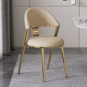 DUOBAOFUXING | Luxurious Minimalist Stainless Steel Chair