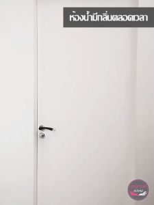 CeeJay ซิลิโคนกันกลิ่นท่อเหม็น ควันบุหรี่ กันแมลงในท่อระบายน้ำ ตัวกรองท่ออ่างล้างจาน Silicone floor drain