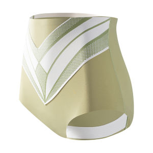 High Waist V-Shape Slimming Ice Silk Womens Underwear Thin Model Shaping Briefs Seamless Comfortable Breathable Ladies Panties