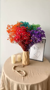 Big bundle Gypsophila dried flowers/ preserved flower (babys breath)