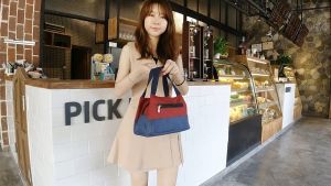 SB-040 Multi-purpose Handbag Women Cloth Bag Canvas Bento Bag Lunch Box Bag Carry Bag Light Poop Small Cloth Bag