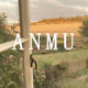 Anmu Liangpin