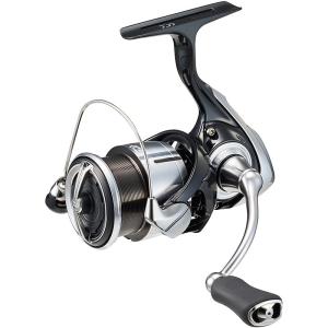 Daiwa | Versatile Sea Fishing Reel