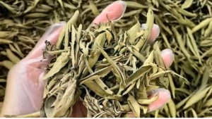 Dried Stevia Leaves for Cooking & Teas - Sugar-Free GMO-Free Bag Pack