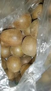 quả la hán khô 1 quả