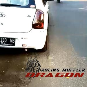 Resonator Spoon Sport Scoot: Ular Nanaspolos Full Sarangan Suara Bass Adem Mobil Matik & Manual