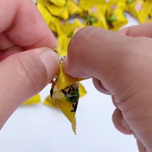 Orange Peel Plum Thousand Paper Crane Mini Fruit Slice Milk Lollipop  Mint Fruity Grape Peach 2500g Gifts Festival Casual Snack