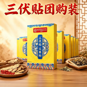 Miếng Dán Sanfu Điều Chỉnh Sức Khỏe Tiêu Hóa Loại Bỏ Độc Tố Mùa Hè cho Bệnh Mùa Đông