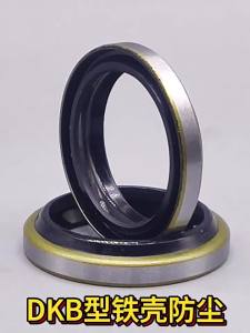 DKB Type Iron Shell Dust Seal Ring for Cylinder Oil Seal Non-Retaining Rings Mechanical Seals Hardware Tools Chinese Made