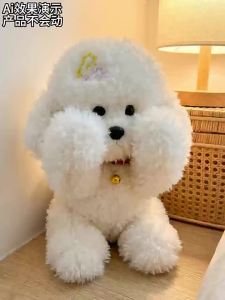 GUAIBUDIAN | Childrens Companion Teddy Bear Plush Toy