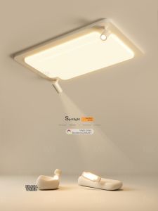 Modern Simple Rectangular LED Ceiling Light