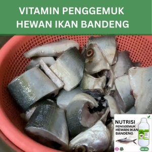 Vitamin Penggemuk Ikan Bandeng Alami500ml Nafsu Makan Naik Bobot Cepat Bertambah Max Penggemukan