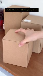 [Nắp Vặn] Lọ Thủy Tinh Nắp Gỗ Vặn Bình Thủy Tinh Nắp Vặn Size To Dáng Bầu Ngâm Hoa Quả Đựng Đồ Khô 1250 1950 2750ml