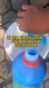 Pupuk Agro Lestari 1 Liter Bisa COD - Pupuk Organik Cair Penyubur Dan Pelebat Buah Padisayur Dll