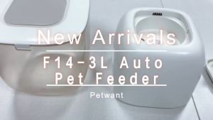 ePetz Petwant 3L Timer Automatic Food Dispenser Pet Feeder Wide Dish For Cat Dog Bekas Makanan Kucing Automatik