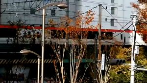 [SG Seller] NEW Wireless Bluetooth 5.3 Clip On Ear Buds TWS Painless Sports Earphone Earpod Comfortable Ear Clip Design