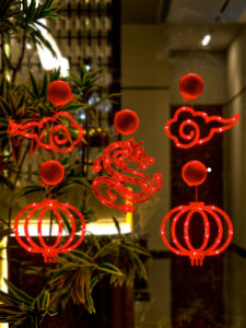 BEAUTY IN THE LIGHT | Luminous LED Suction Cup Door Hanging Decorative Accessory