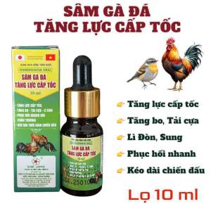 Sâm gà đá tăng lực cấp tốc thảo dược lọ 10ml cho gà đá Tăng lực Tăng Bo Lì đòn kéo dài thời gian đấu cung cấp đầy đủ vitamin