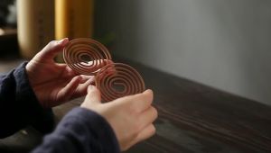 48Pcs/Box Incense Coil Mosquito Killer Sandalwood Wormwood Natural Incense Scented