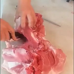 Nipiin Meat Knife Mongolian Knife Chef Knife Butchering Boning Knife Kitchen Knife