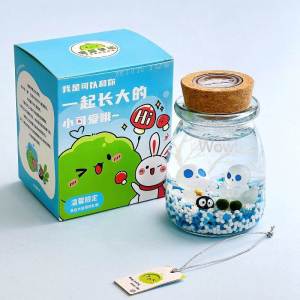 XIXIANGZI | Decorative Marimo Moss Plant Glass Bottle