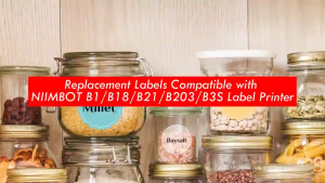 NIIMBOT B21/B21Pro/B1/B3S Waterproof Transparent Self-Adhesive Thermal Label Stickers for Baking Clothing Tags and Shipping