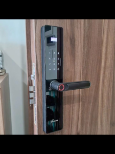 Khoá cửa vân tay Demax EL-C622 BL mở bằng vân tay mật mã thẻ từ chìa cơ app ttlock wifi