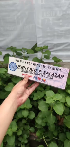 Teachers Smart Organized