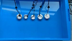 Mesin Kabut Mist Maker 20MM Stenlis Dan Adaptor 24V 1A humidifier