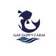 GAP GAPPY FARM